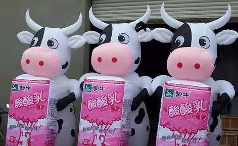 兴义牛奶厂广告气模